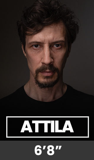 Attila Vajda